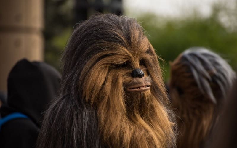 Wookiee Chewbacca