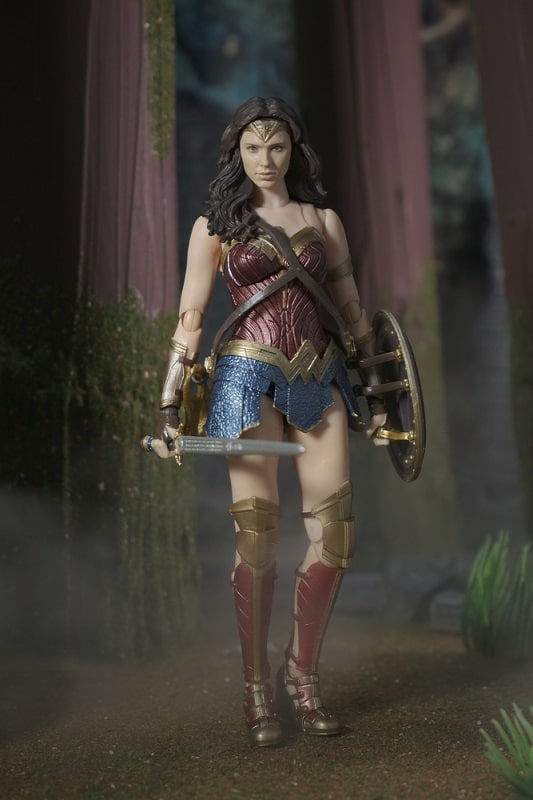 Wonder Woman holding her sword and her shield