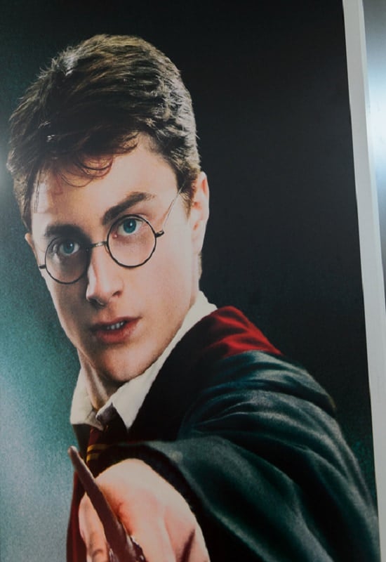 Harry Potter on the Poster of the Wizarding world of Harry Poter