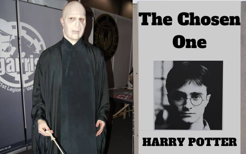 Lord Voldemort and Harry Potter - The Chosen One