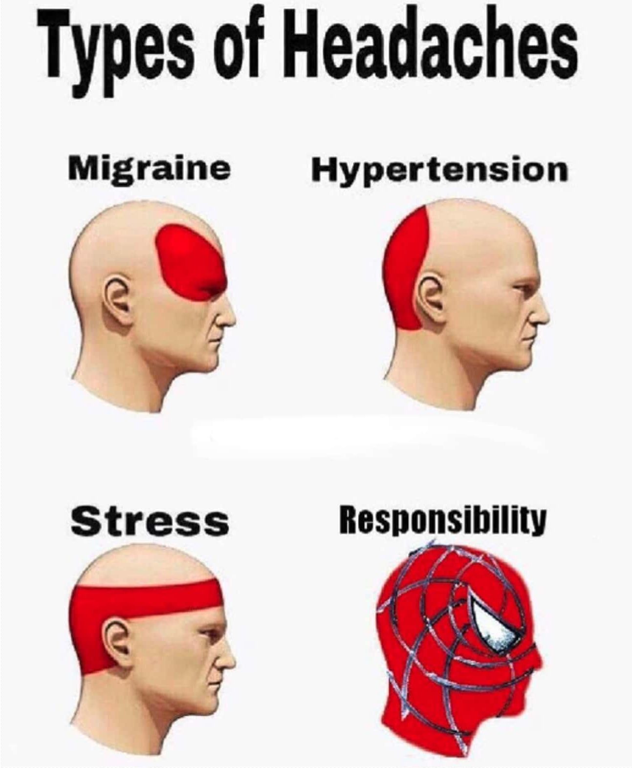 spider-meme 12