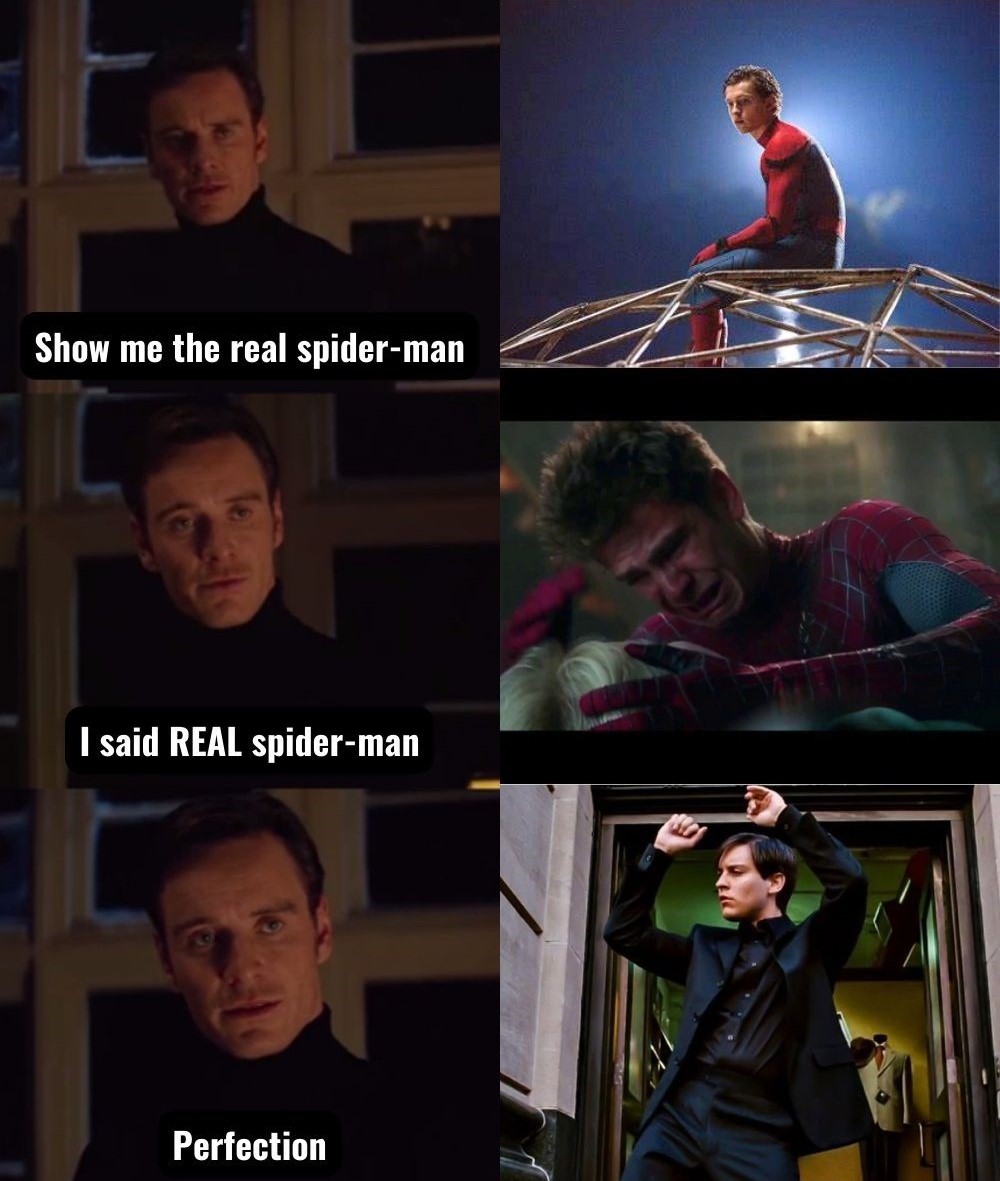 spider-meme 8